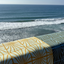 magic seaweed